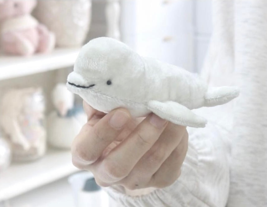 Hand holding a small plush whale toy against a blurred indoor background