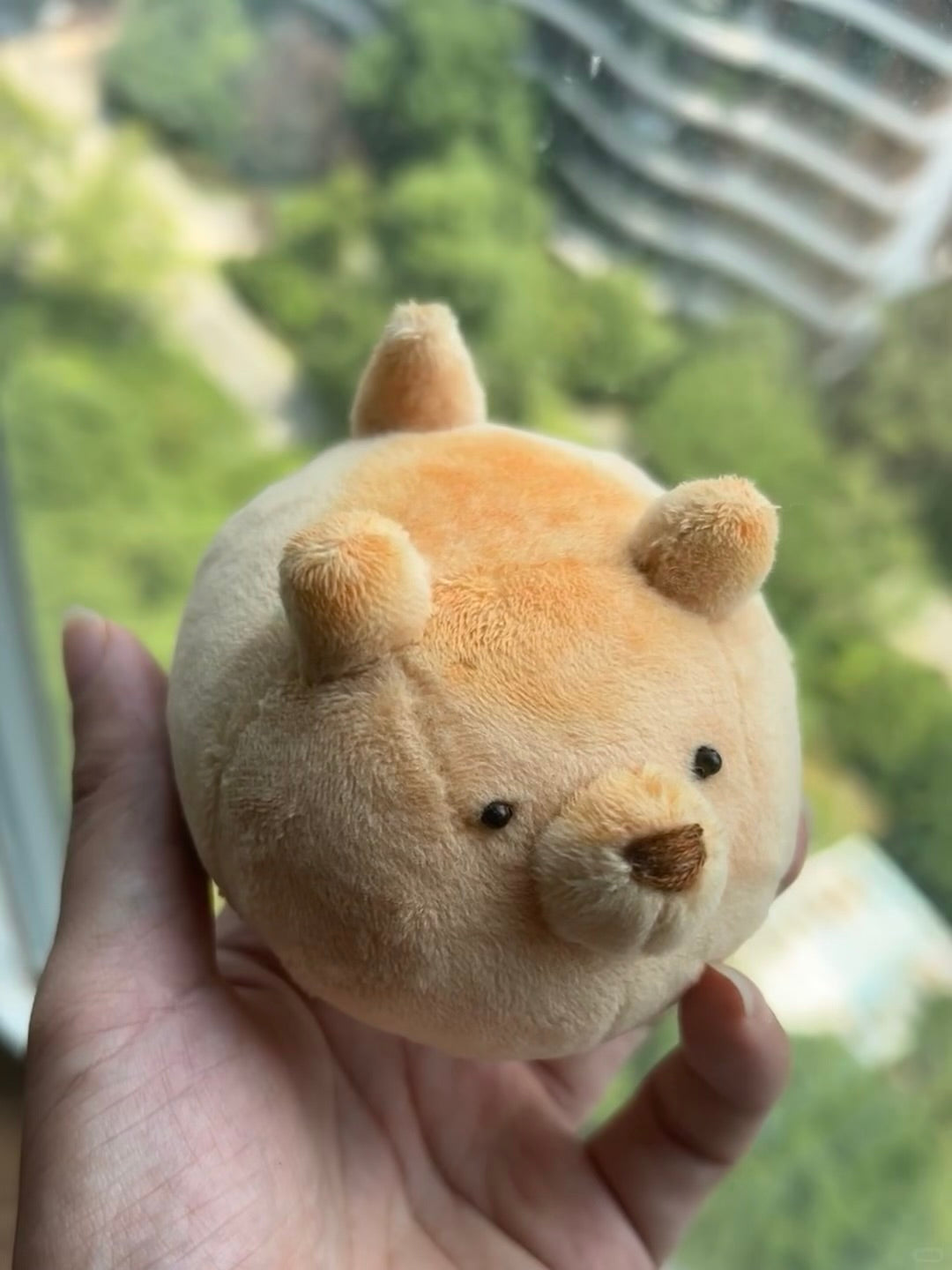 A round, plush, dog-like stuffed toy in a light tan color, held in a person's hand with a blurred outdoor background of green trees and buildings.