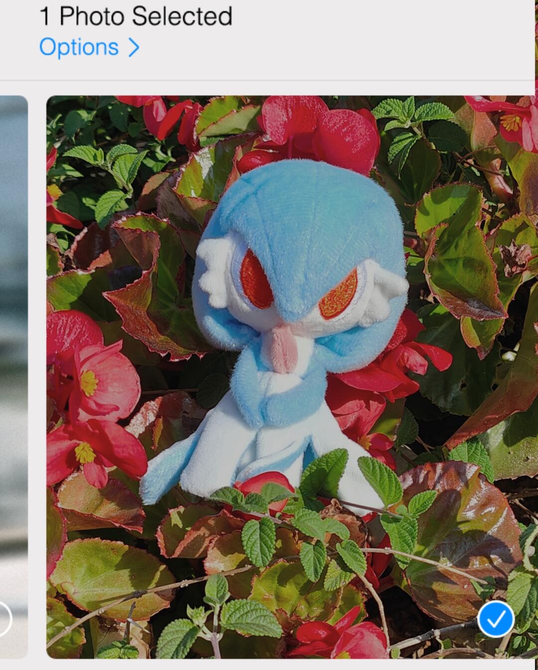 A blue and white Gardevoir plush toy with orange eyes and a pink beak, nestled among red flowers and green leaves outdoors. The photo appears to be selected from a phone photo interface, with '1 Photo Selected' visible at the top and a blue check mark at the bottom right.