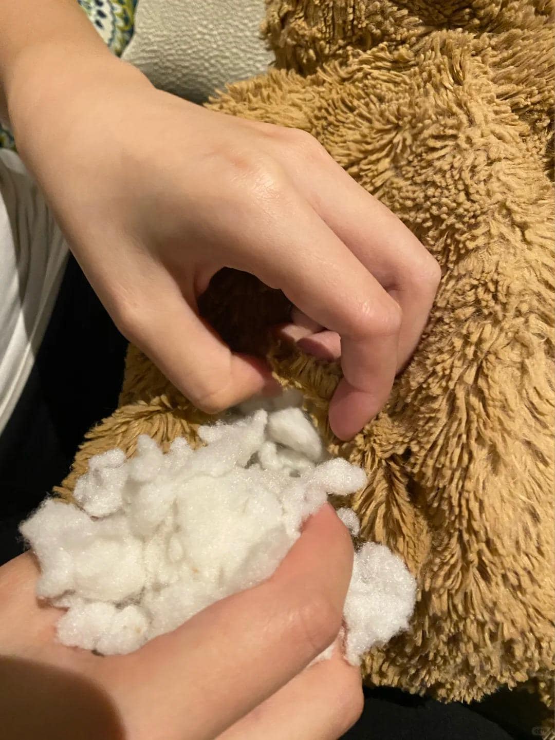 Person holding a plush toy with cotton-like stuffing