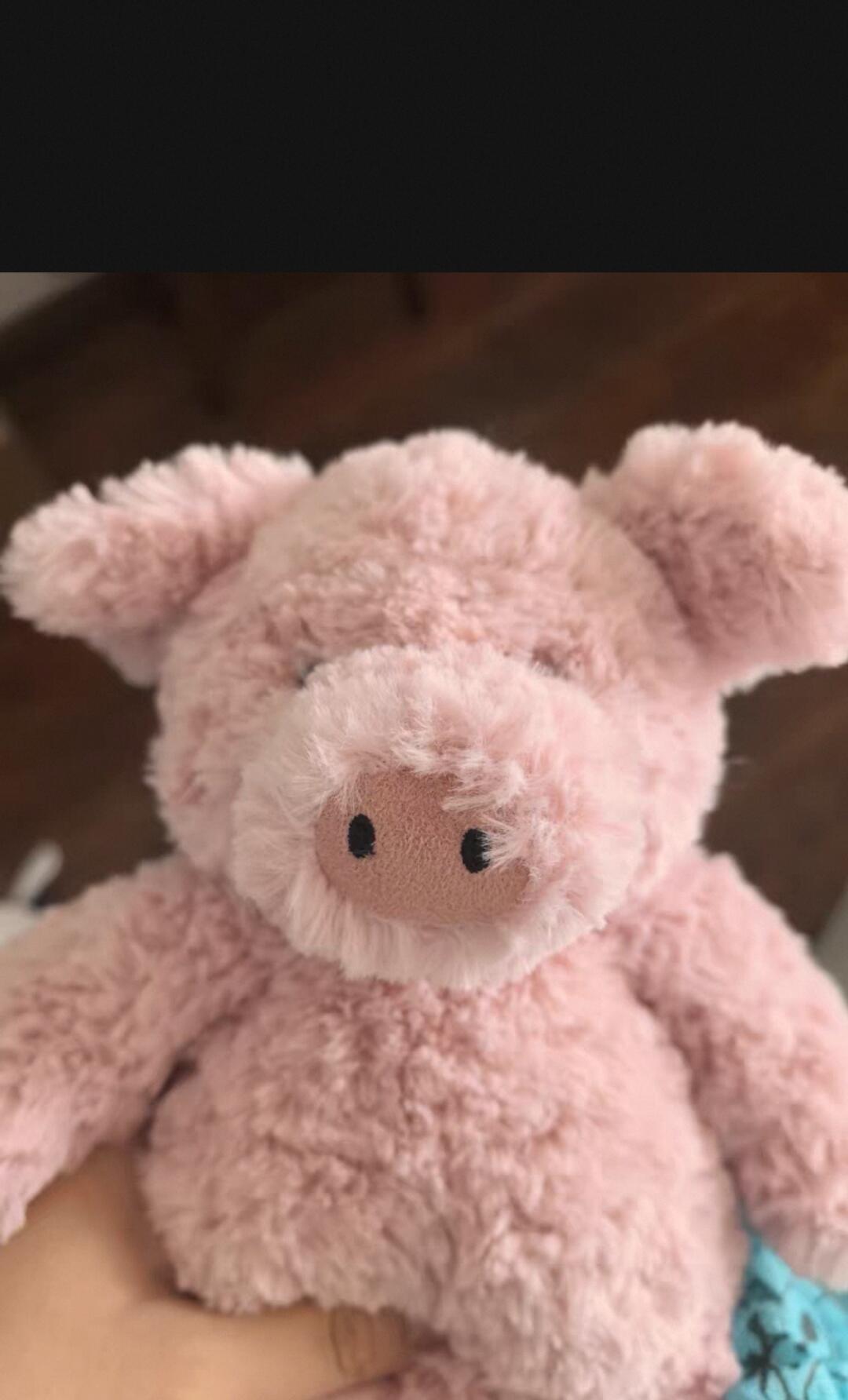 Pig Sewing Pattern PDF Jellycat Style Barnabus Pig Plushie Chubby Kawaii Stuffed Animal Sewing Pattern Instant Download