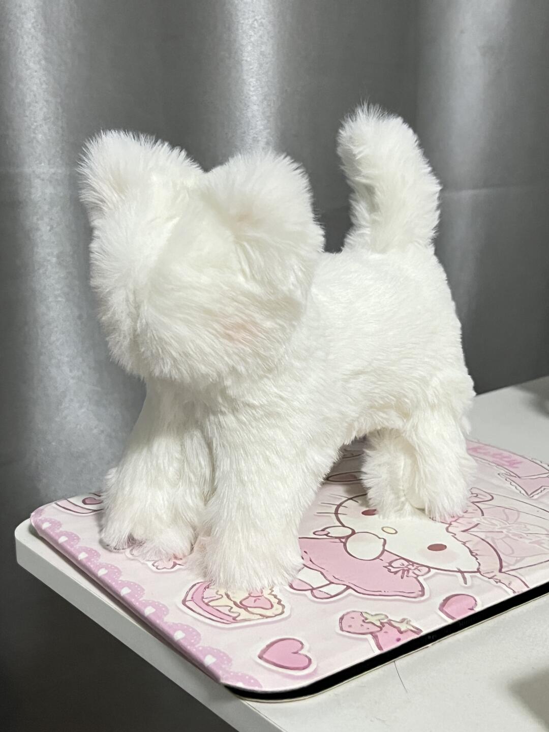 Cat Sewing Pattern PDF | Stuffed Fabric Cat Plush Tutorial | Beginner DIY Kitten Soft Toy | 2 Sizes | Instant Download