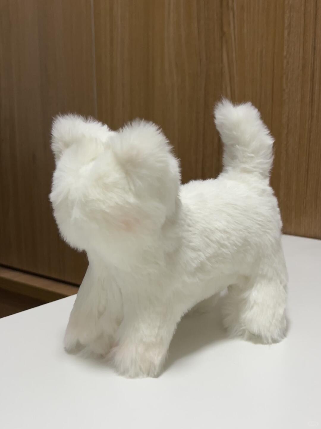 Cat Sewing Pattern PDF | Stuffed Fabric Cat Plush Tutorial | Beginner DIY Kitten Soft Toy | 2 Sizes | Instant Download