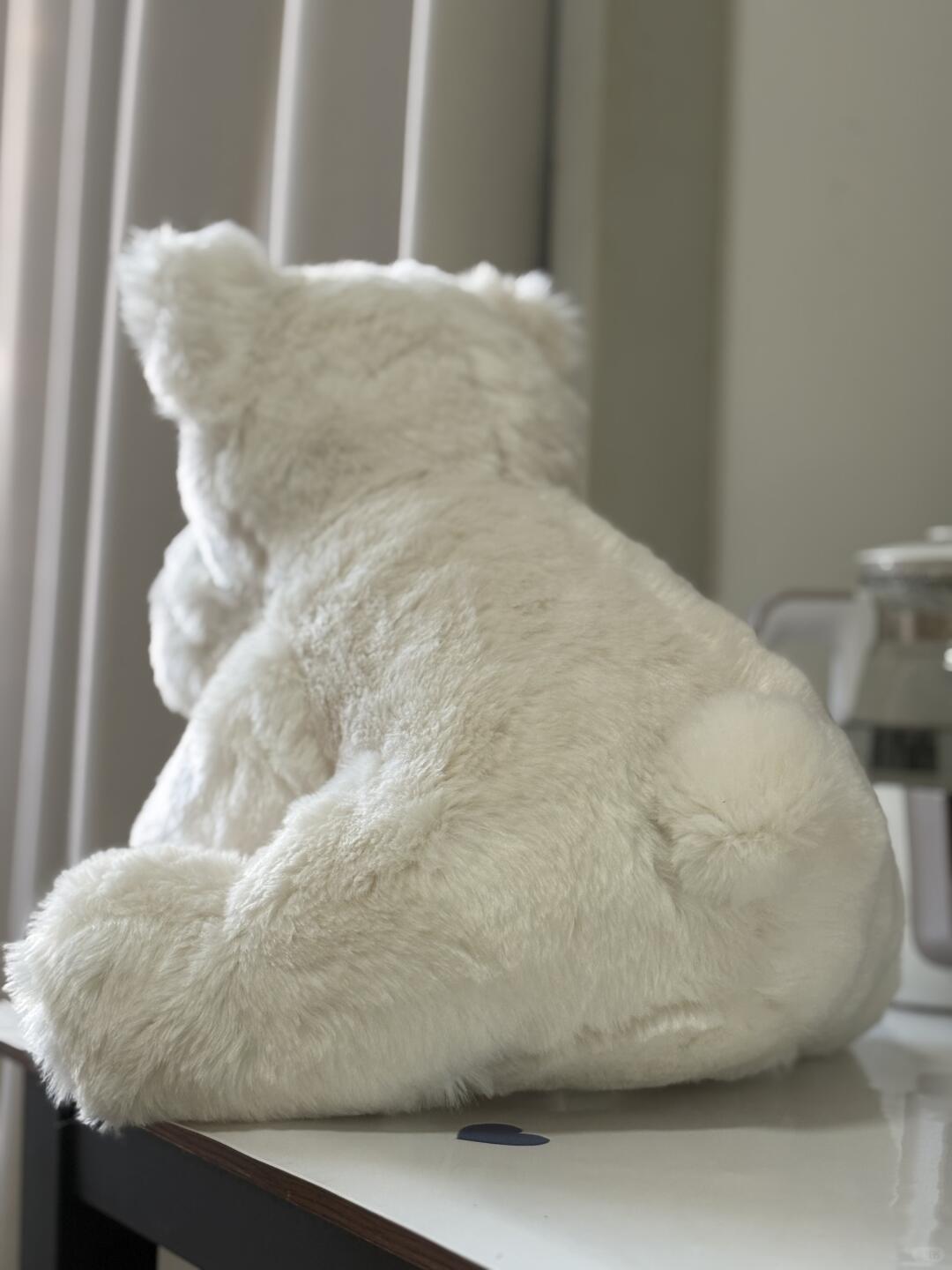 White scottie dog sitting on a surface with a neutral background