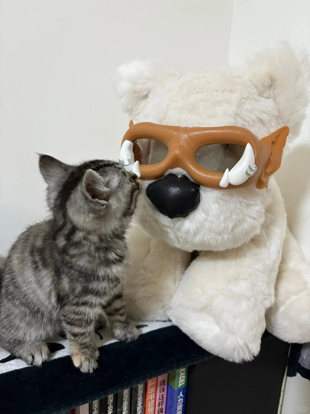 Kitten playing with a large white teddy bear wearing goggles on a shelf.