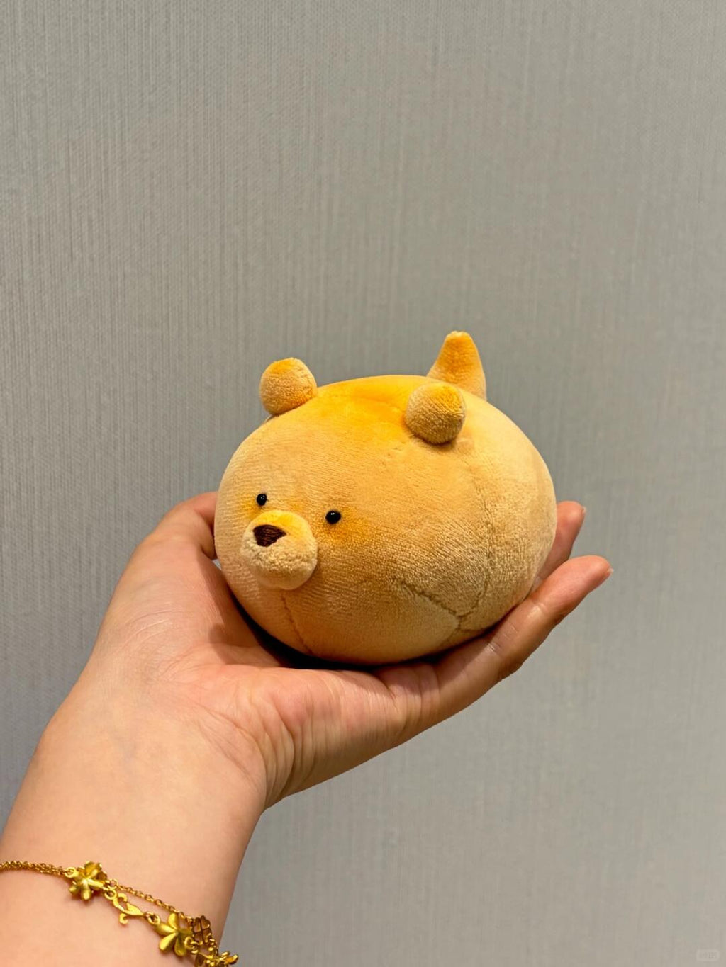 Hand holding a small round dog plush toy with bear ears against a plain background