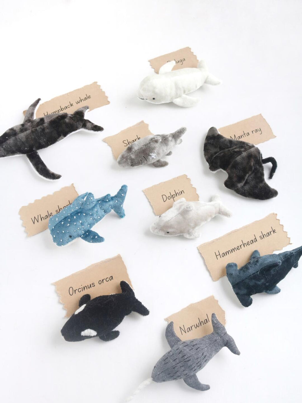 Set of whale-shaped plushies with labels on a white background
