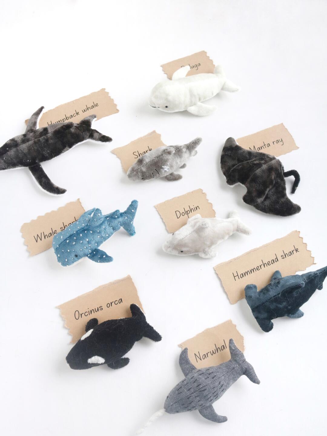 Set of whale-shaped plushies with labels on a white background
