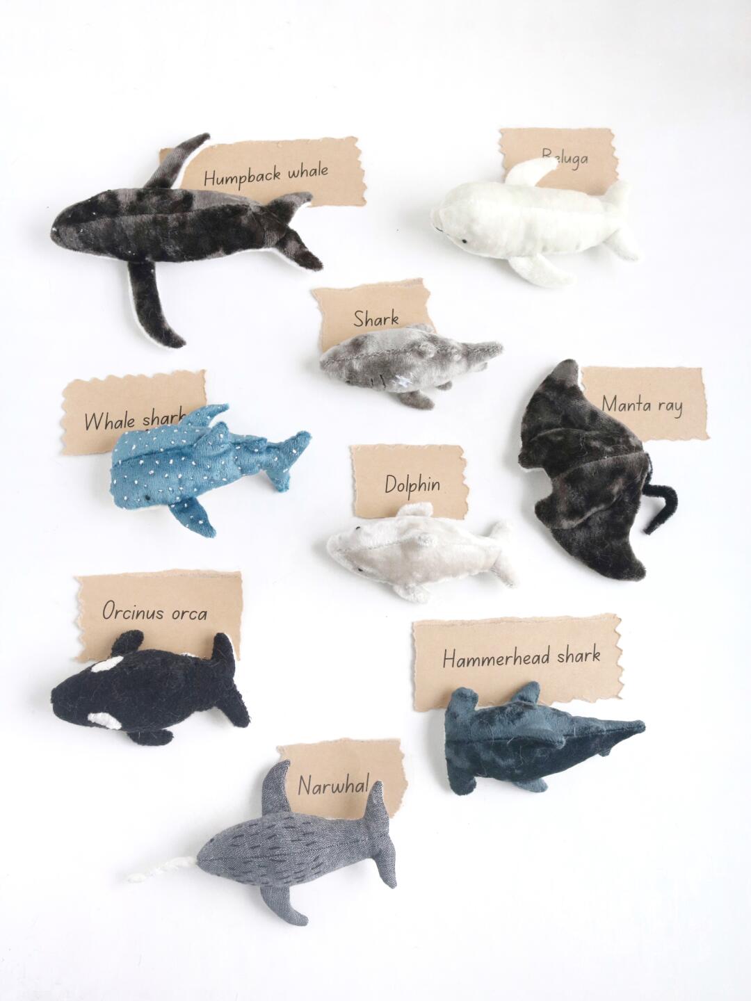 Set of ocean creature plushies including humpback whale manta ray shark whale shark orcinus orca narwhale manta ray
