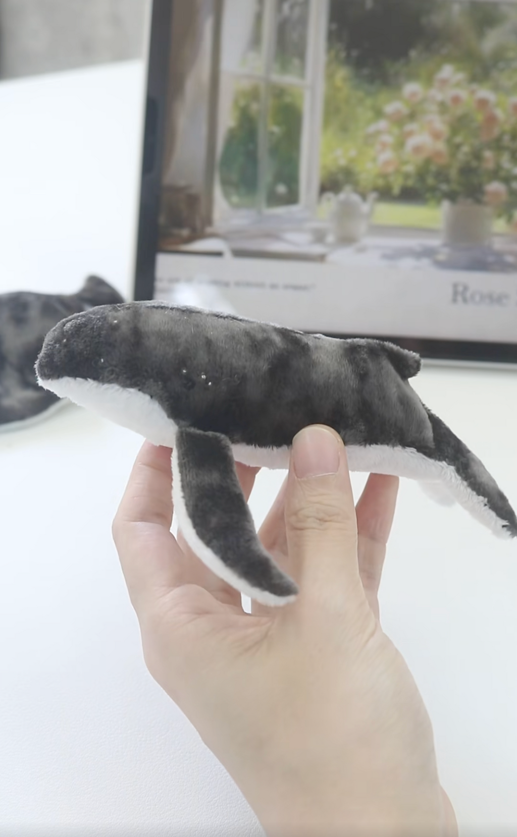 Hand holding a plush toy shark in front of a blurred indoor background