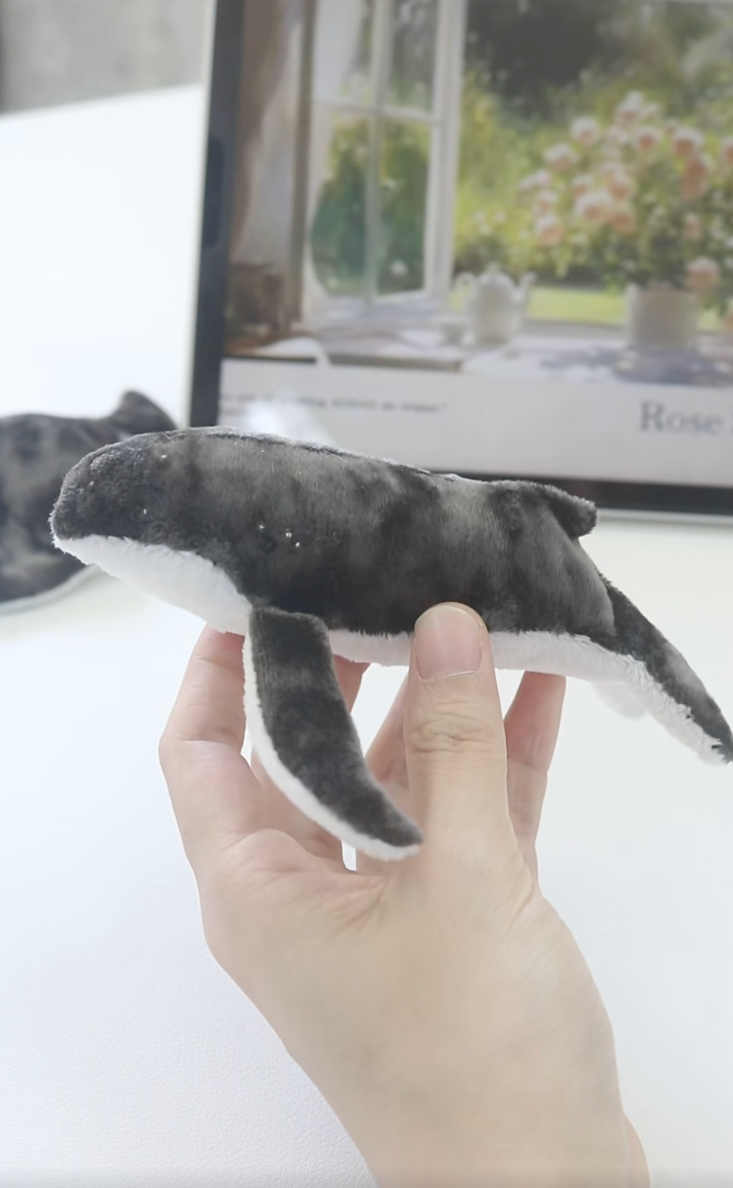 Hand holding a plush toy shark in front of a blurred indoor background