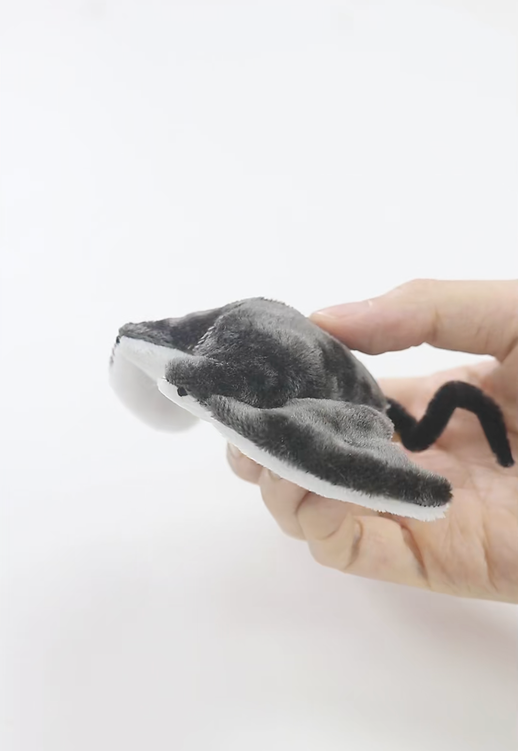 Hand holding a small gray plush shark toy on a white background