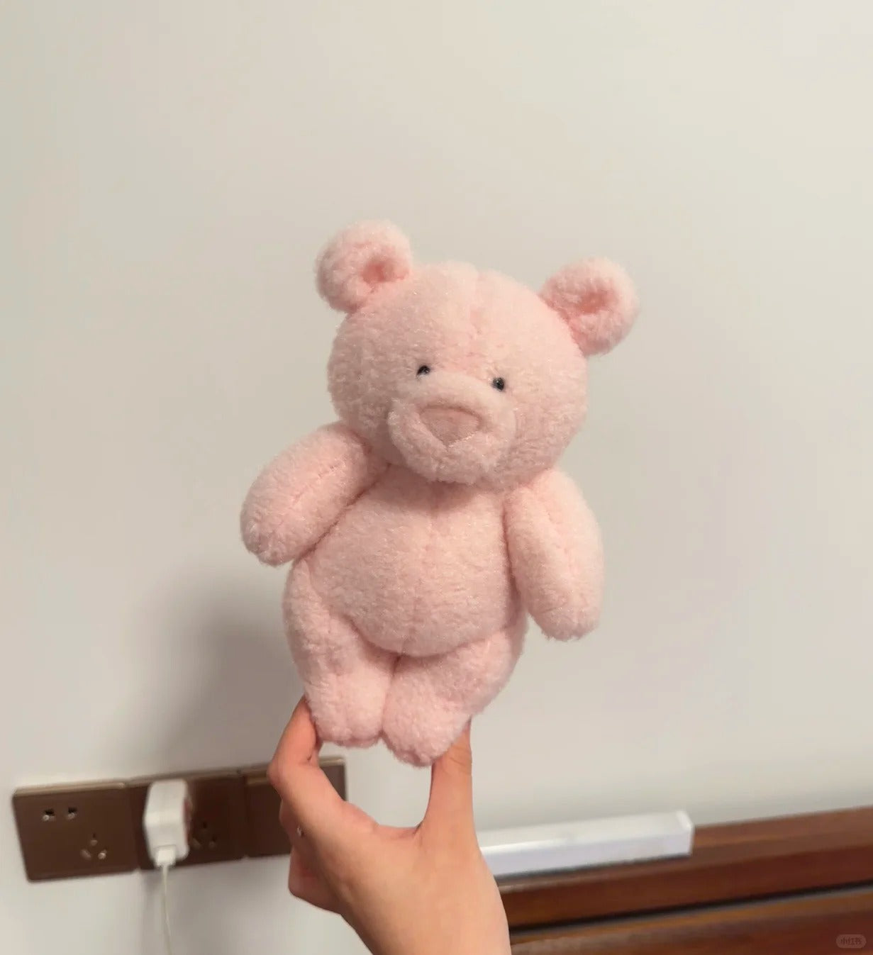 Pink teddy bear held by a hand against a plain background
