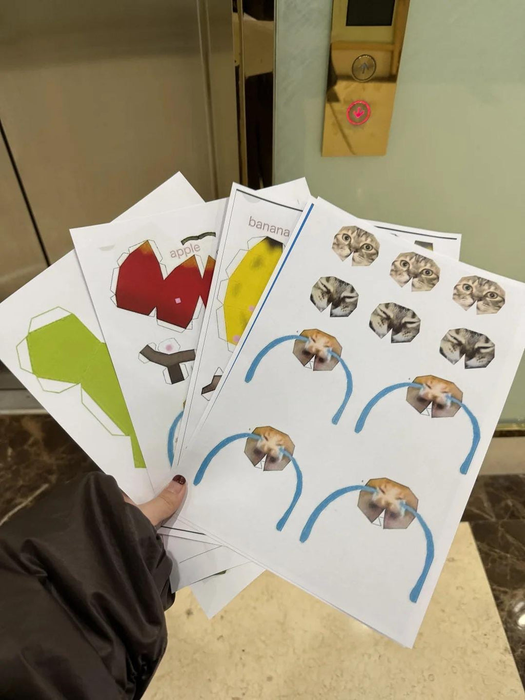 8 funny meme cat paper craft PDF Template, maxwell cat, happy cat, banana cat, apple cat, 8 printable paper craft bundle, memes, A4, DIY