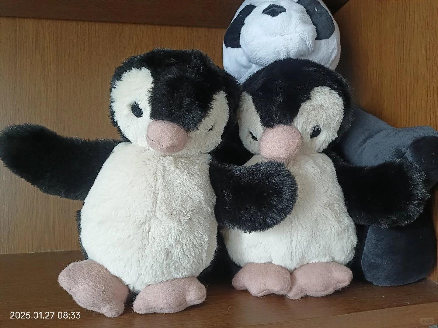 Peanut Penguin PDF Sewing Pattern Little Penguin Sewing Patterns, Stuffed Toys, Jellycat Softies, Jellycat Penguin Pattern, Penguin Plushie