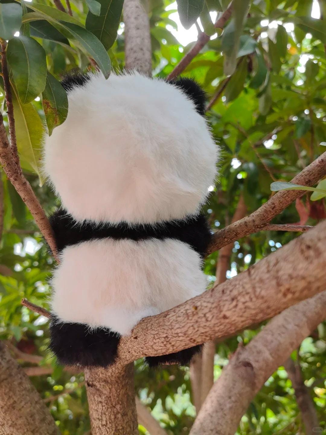 Panda Labubu Sewing Pattern + Step by Step Video Tutorial