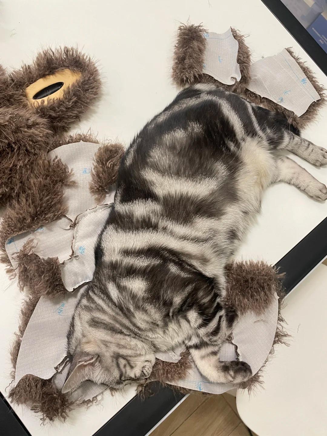 58cm Zimomo Sewing Pattern(Video Tutorial included) Huge Labubu Sewing Pattern  Soft Toy DIY Digital Sewing Pattern Download