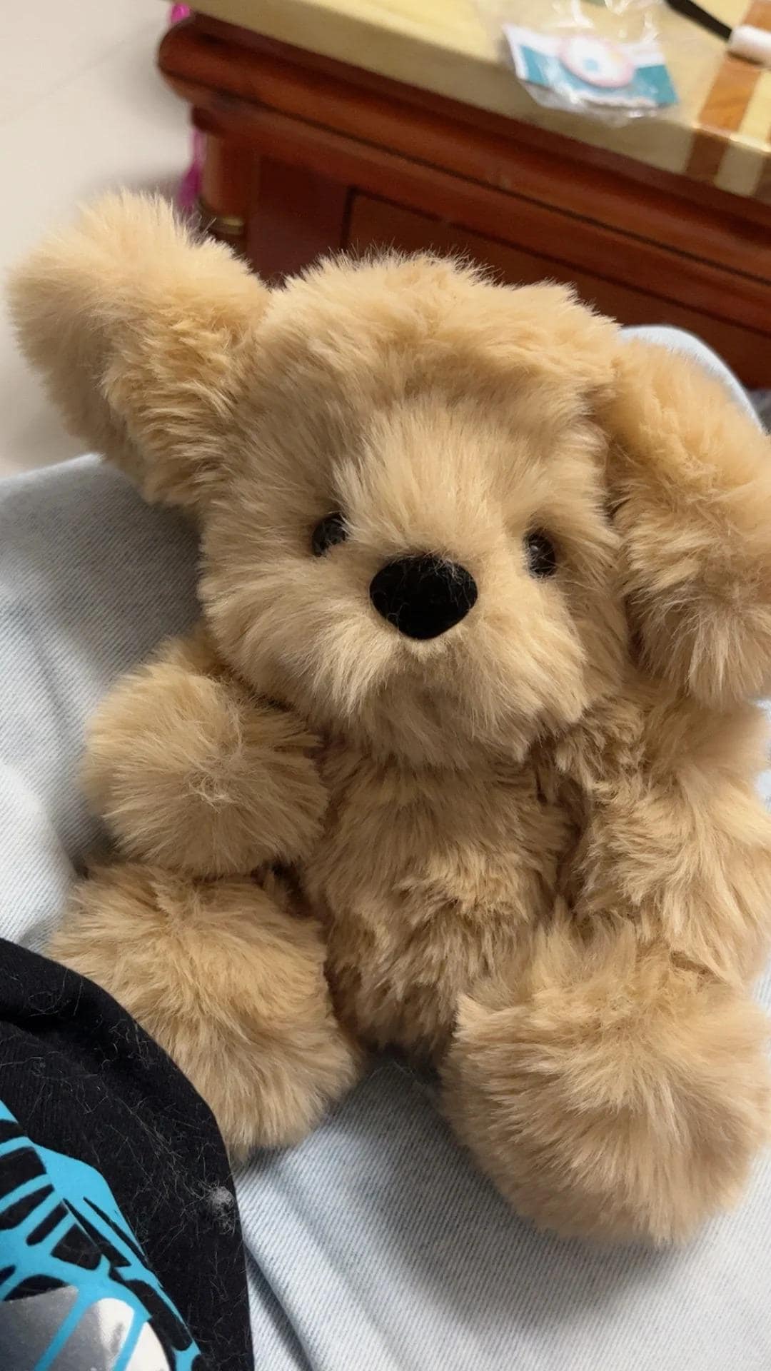 Stuffed Teddy Dog PDF Sewing Pattern with 2 hours Video Tutorial Dog Sewing Patterns Stuffed Toys Softies Baby Dog Plushie Pattern DIY PDF