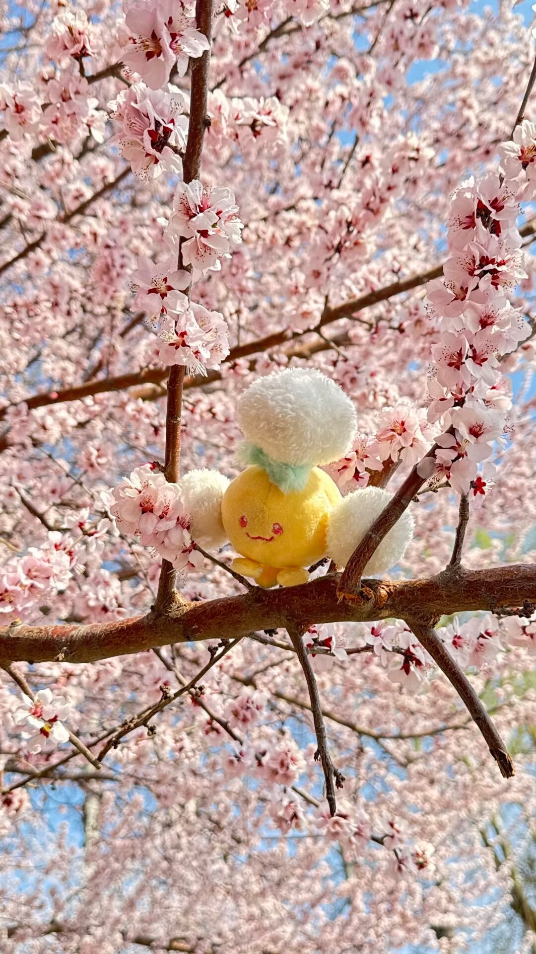 Handmade Jumpluff soft toy showing its fluffy cotton-puff details