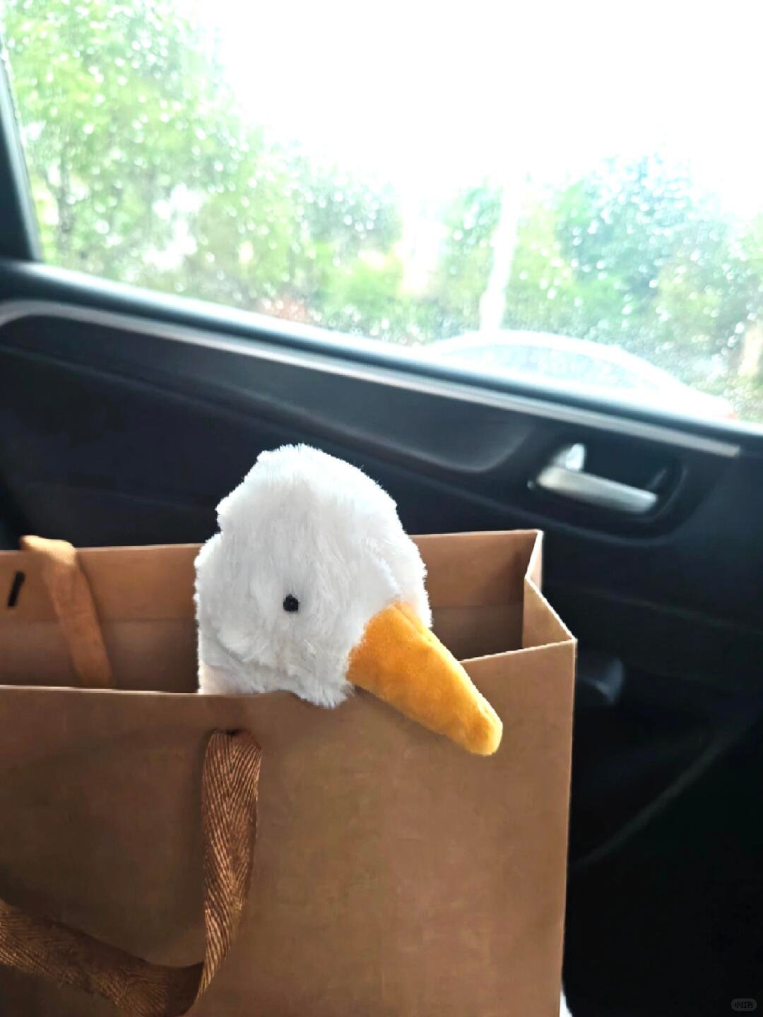White plush goose head with orange beak peeking out of a paper bag