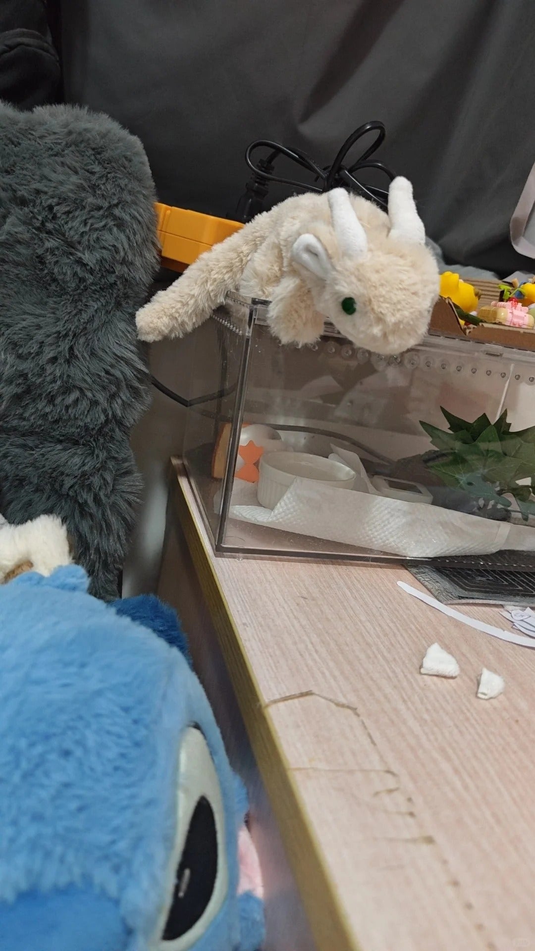 Close-up of plush toys on a desk with a computer screen in the background